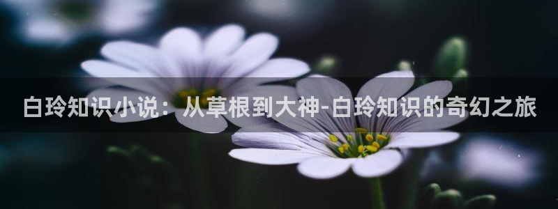 圣墟起点 小说：白玲知识小说：从草根到大神-白玲知识的奇幻之旅