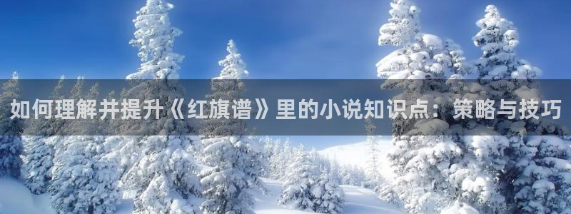 起点小说点击率排行榜：如何理解并提升《红旗谱》里的小说知识点：策略与技巧